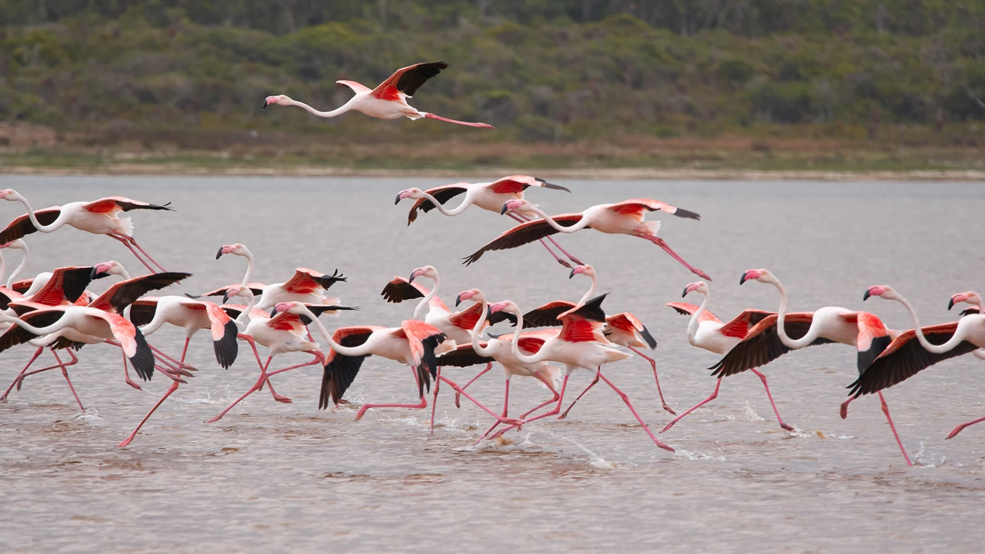 Lake Nakuru Attractions