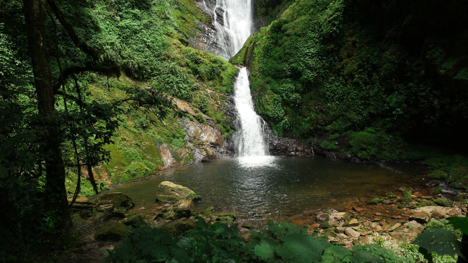 Rwanda to Zanzibar Safari Escape