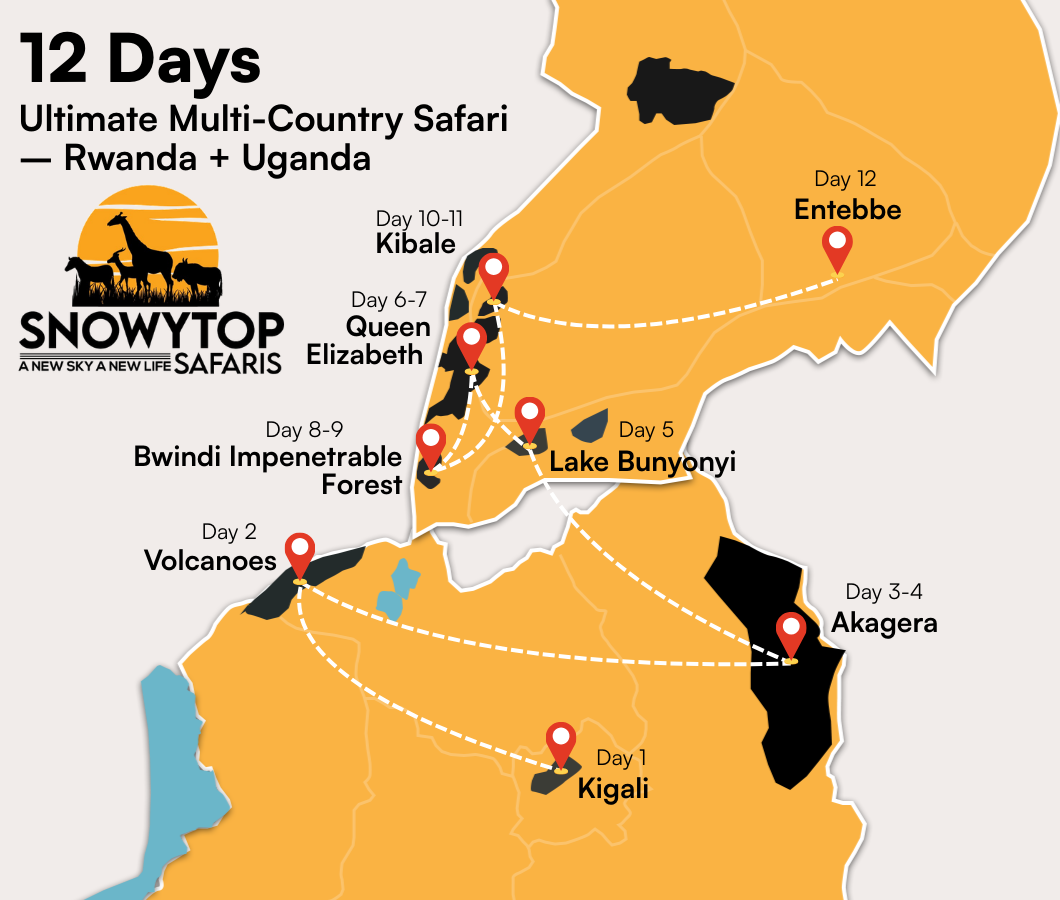 12 Days Ultimate Multi Country Safari