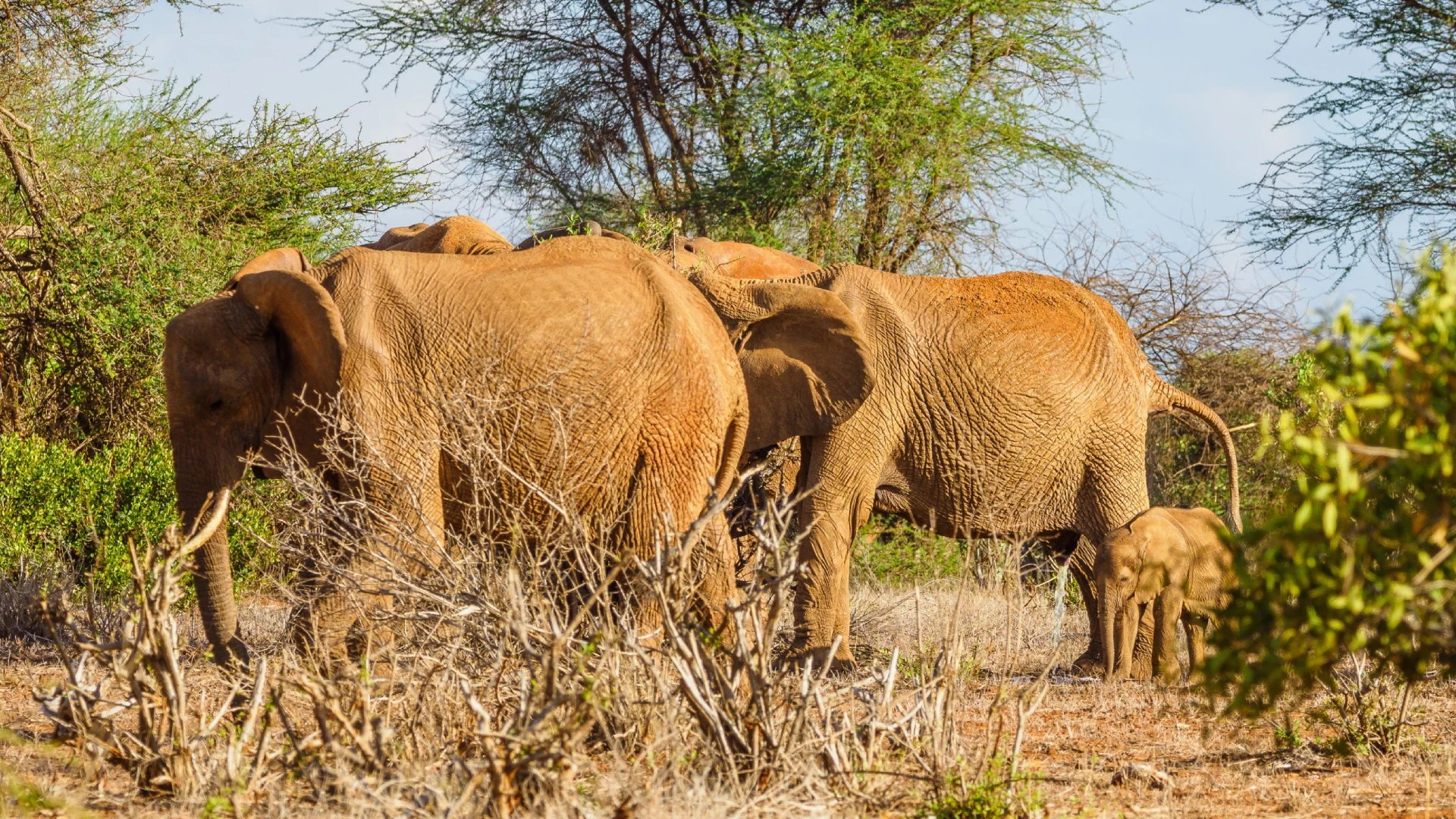 Tsavo West Attractions