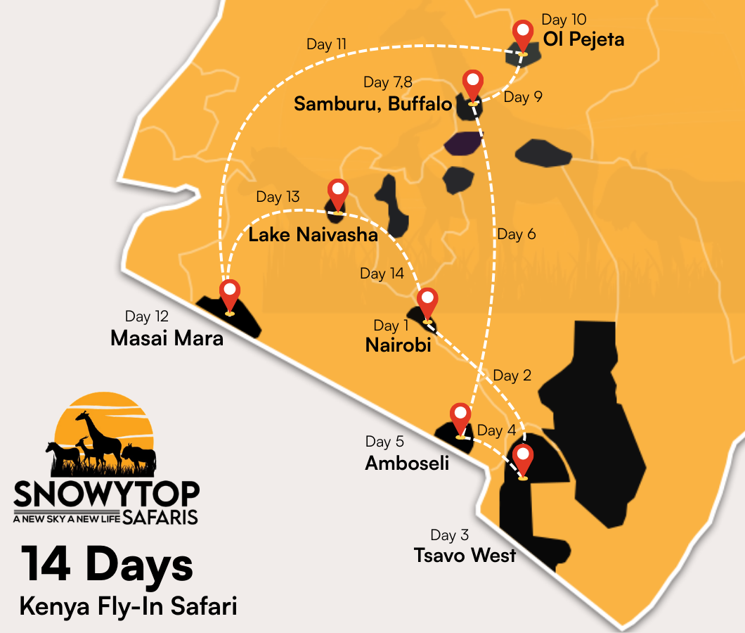 14 Days Kenya Fly in Safari