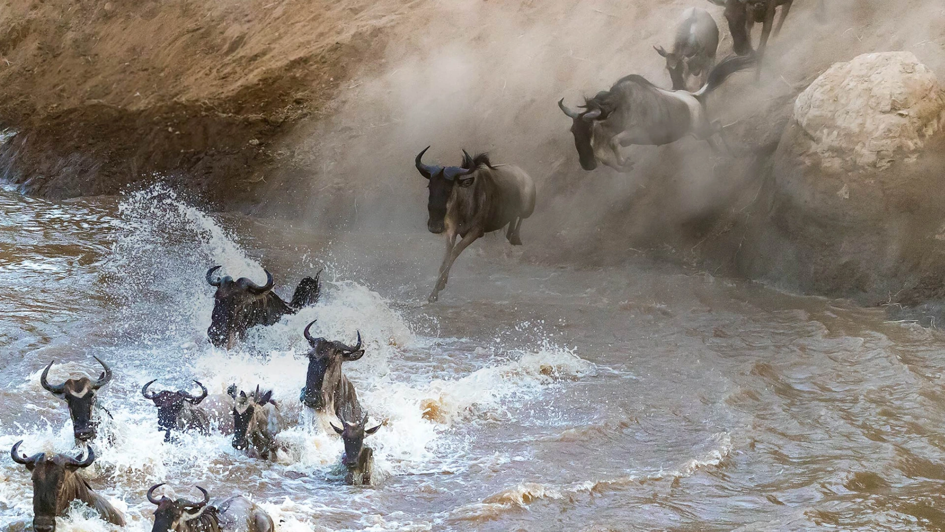 Masai Mara Wildebeest Migration