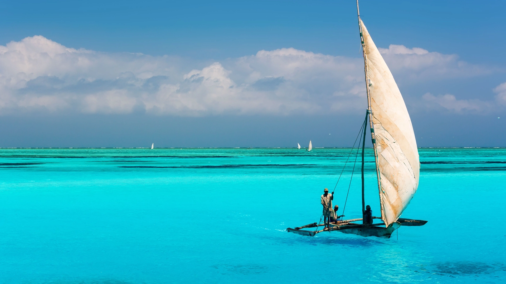 South West Zanzibar Safari