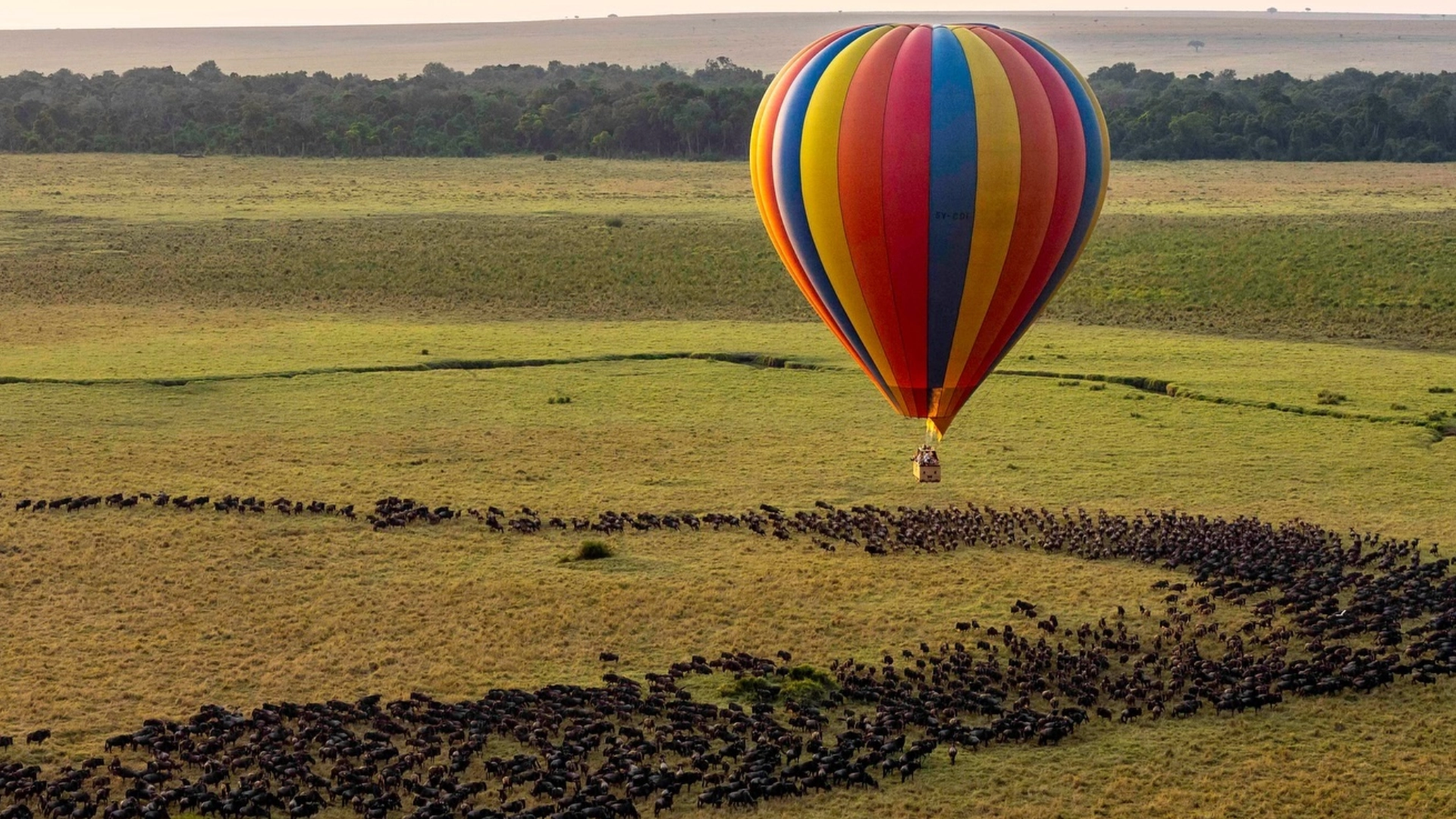 Masai Mara Balloon Safari
