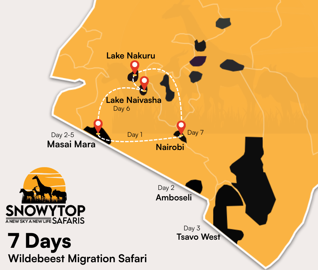7 Days Wildebeest Migration Safaris
