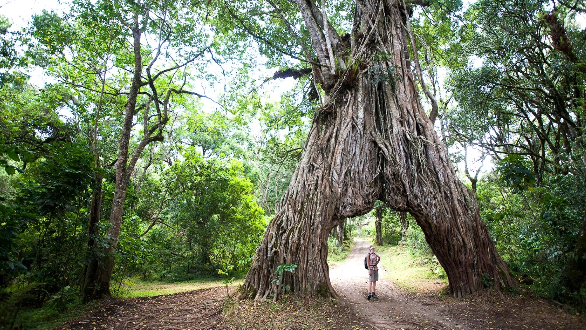 Arusha National Park Scenery