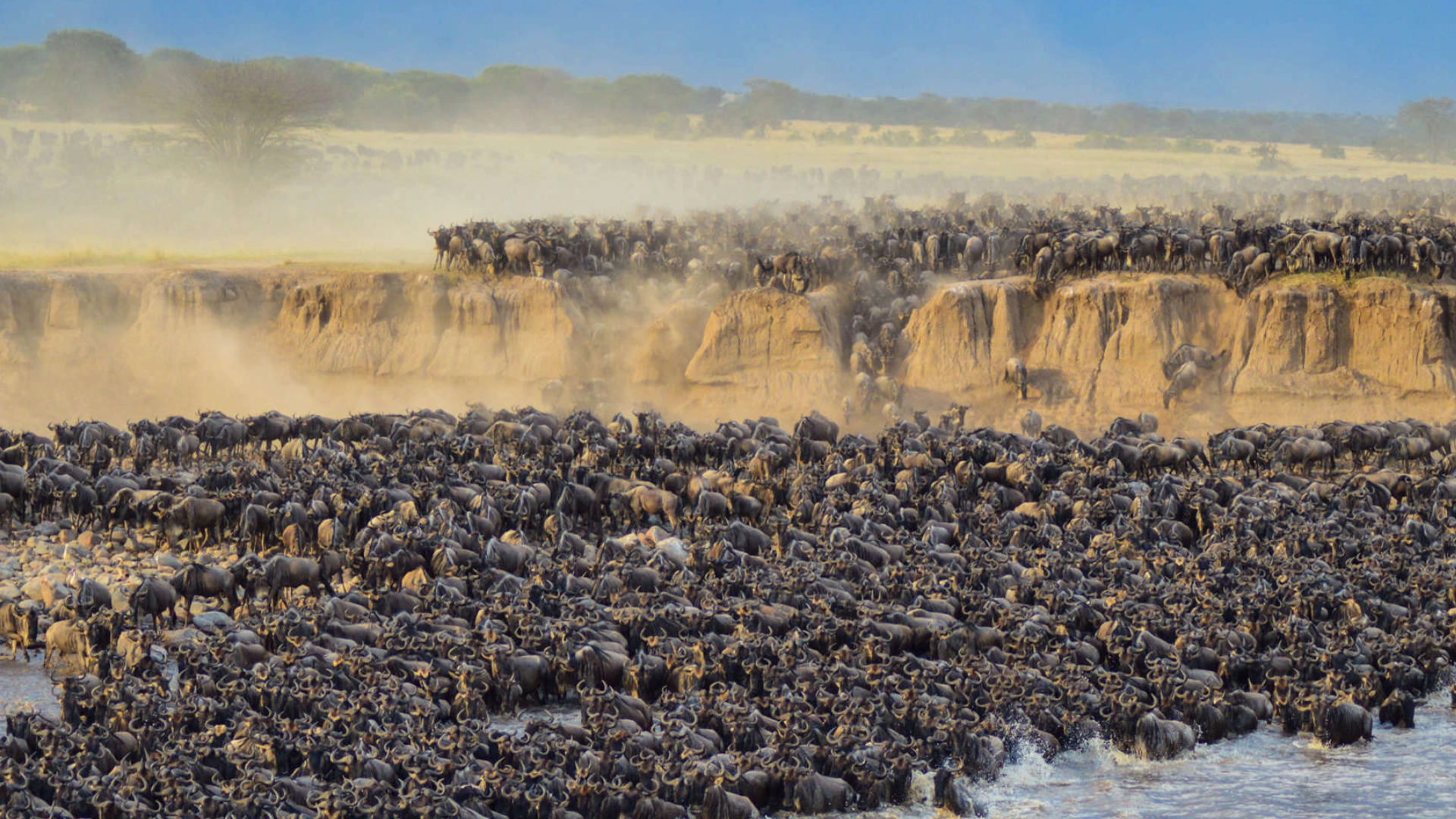 Great Migration Adventure