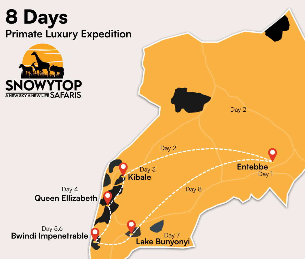 8 Days Primate Luxury Expedition