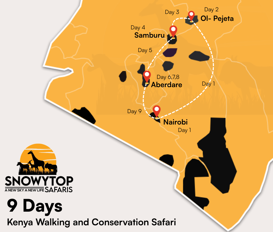 9 Days Kenya Walking & Conservation Safari