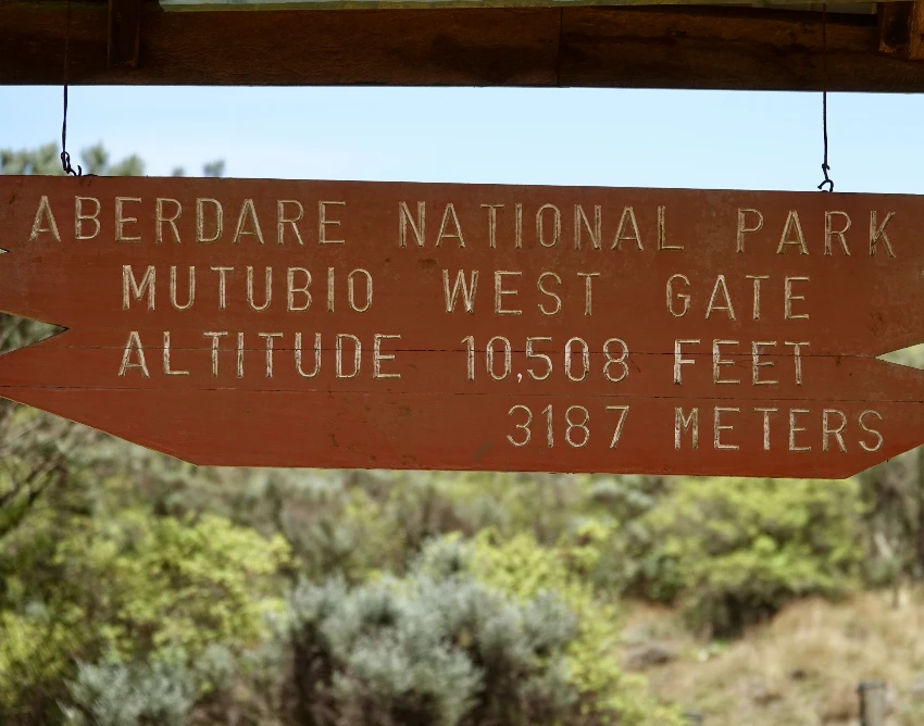 Aberdare National Park