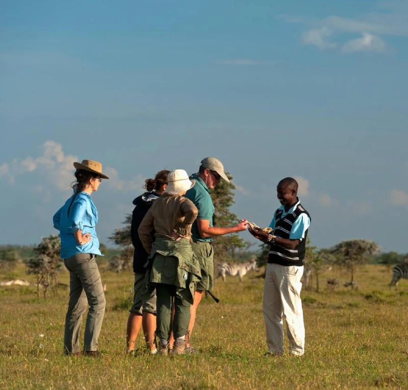 Safety and Briefings