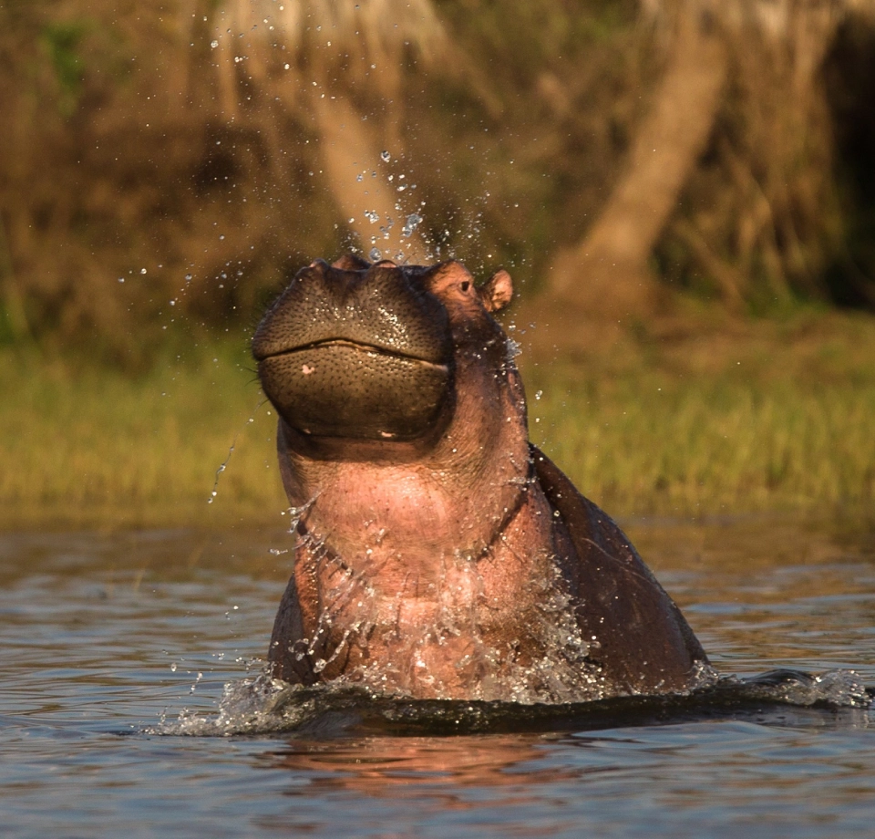 Lakes, Plains, Hills