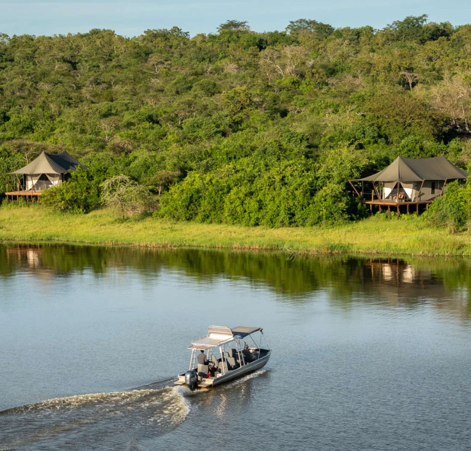Water, Wildlife, Views