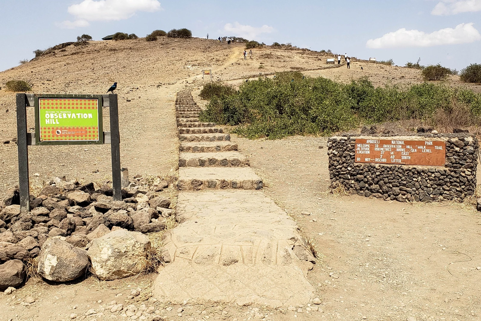 Observation Hill Walk