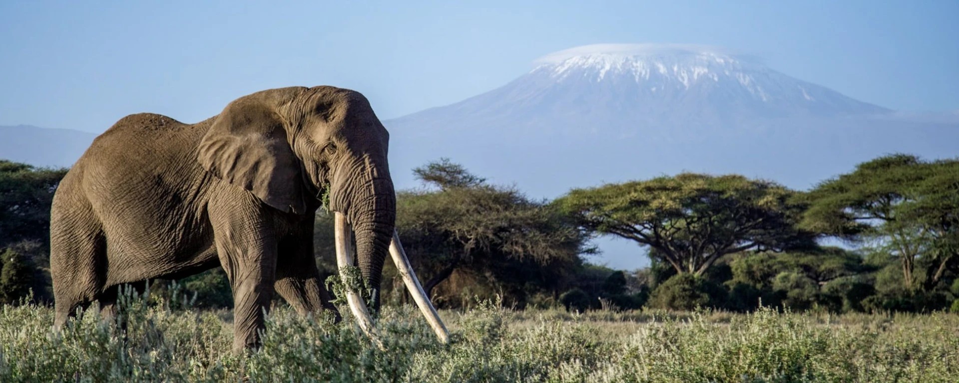 Amboseli National Park