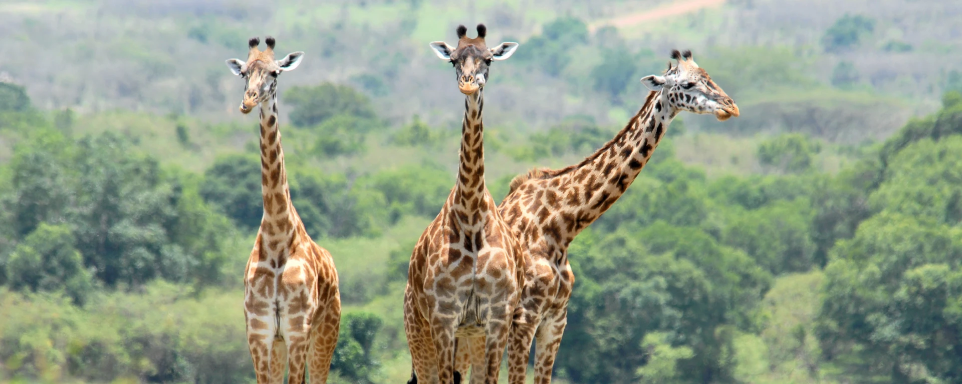 Arusha National Park