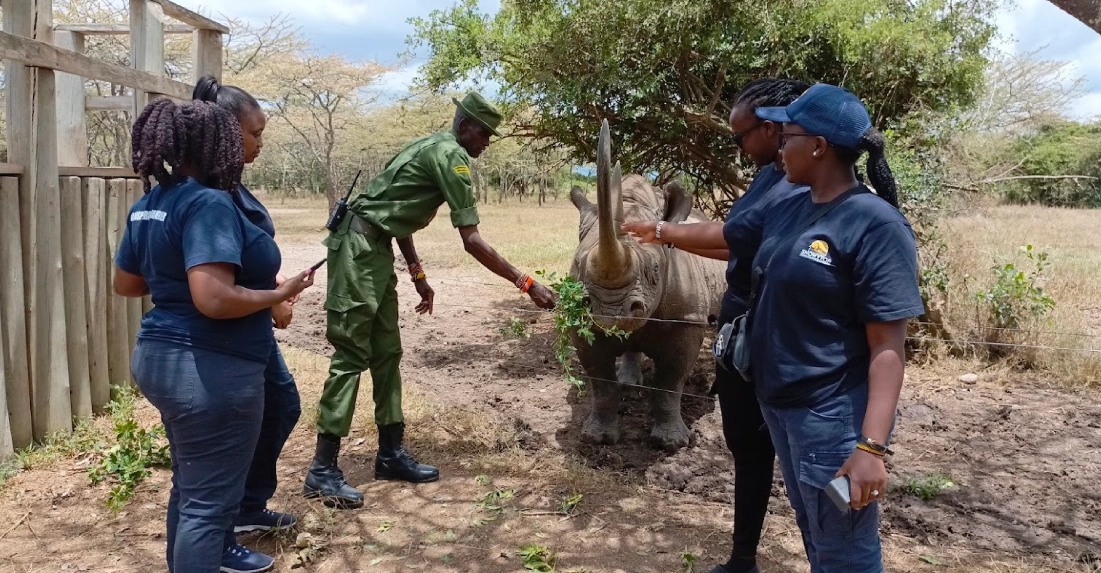 Is kenya Safari Safe ?