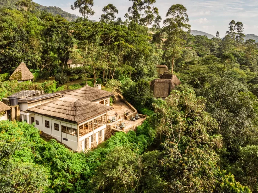 Bwindi Impenetrable National Park Attractions