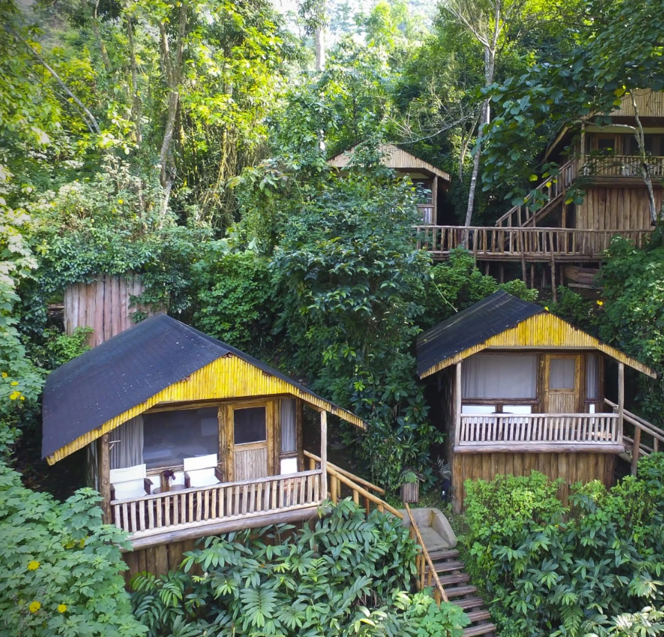 Trekking Hubs and Endemics