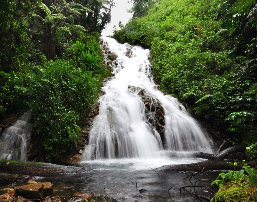 Bwindi Impenetrable National Park Attractions