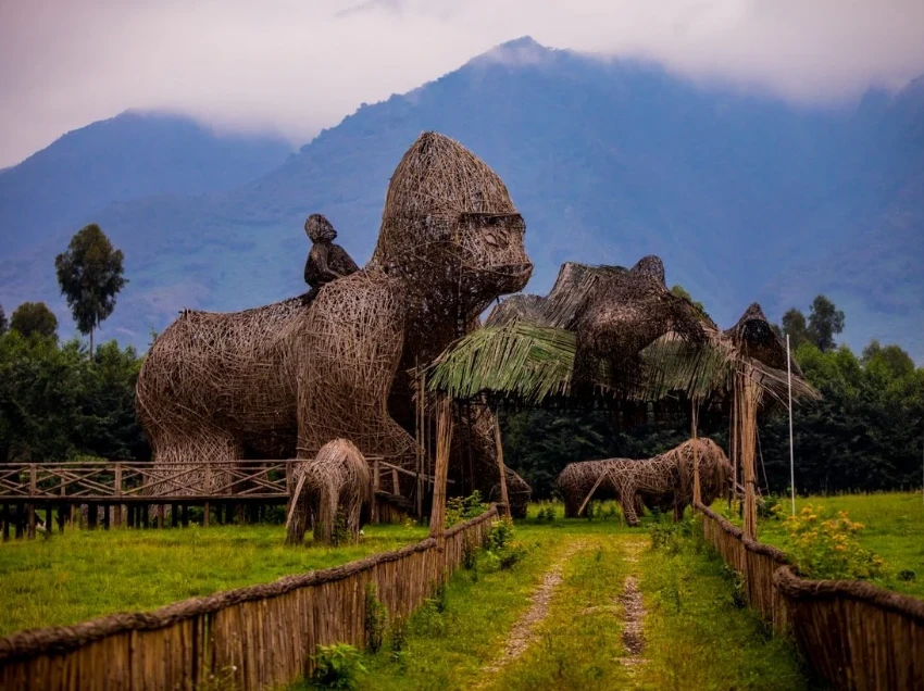 Bwindi Impenetrable National Park Attractions