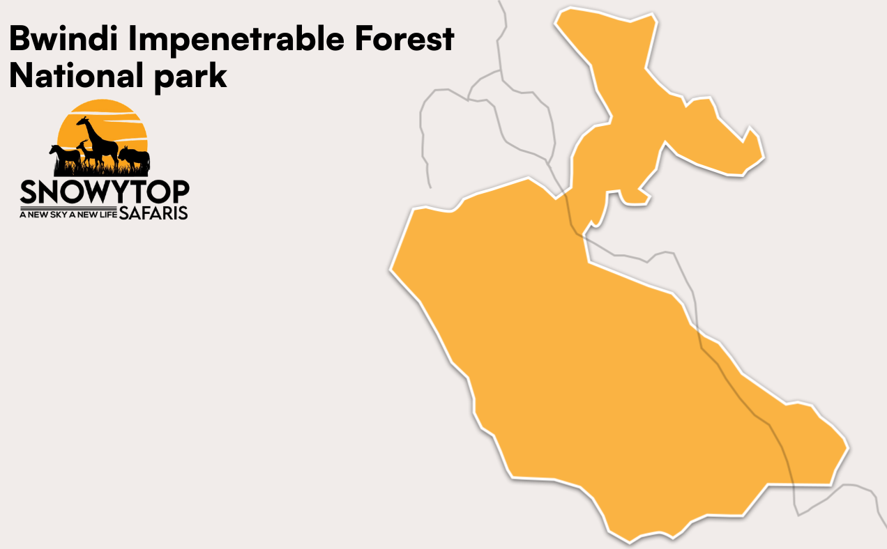 Bwindi Impenetrable National Park