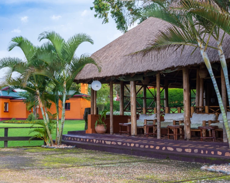 Chimpanzee Forest Lodge