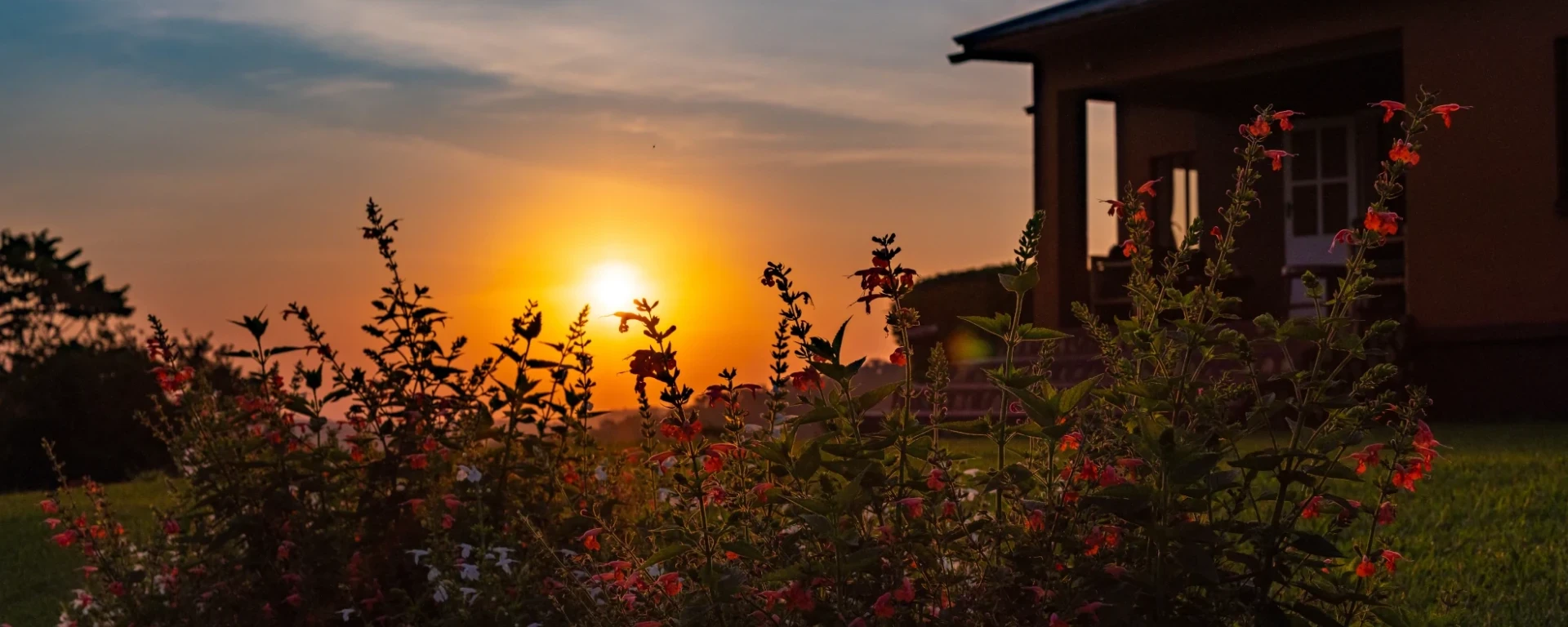 Chimpanzee Forest Lodge