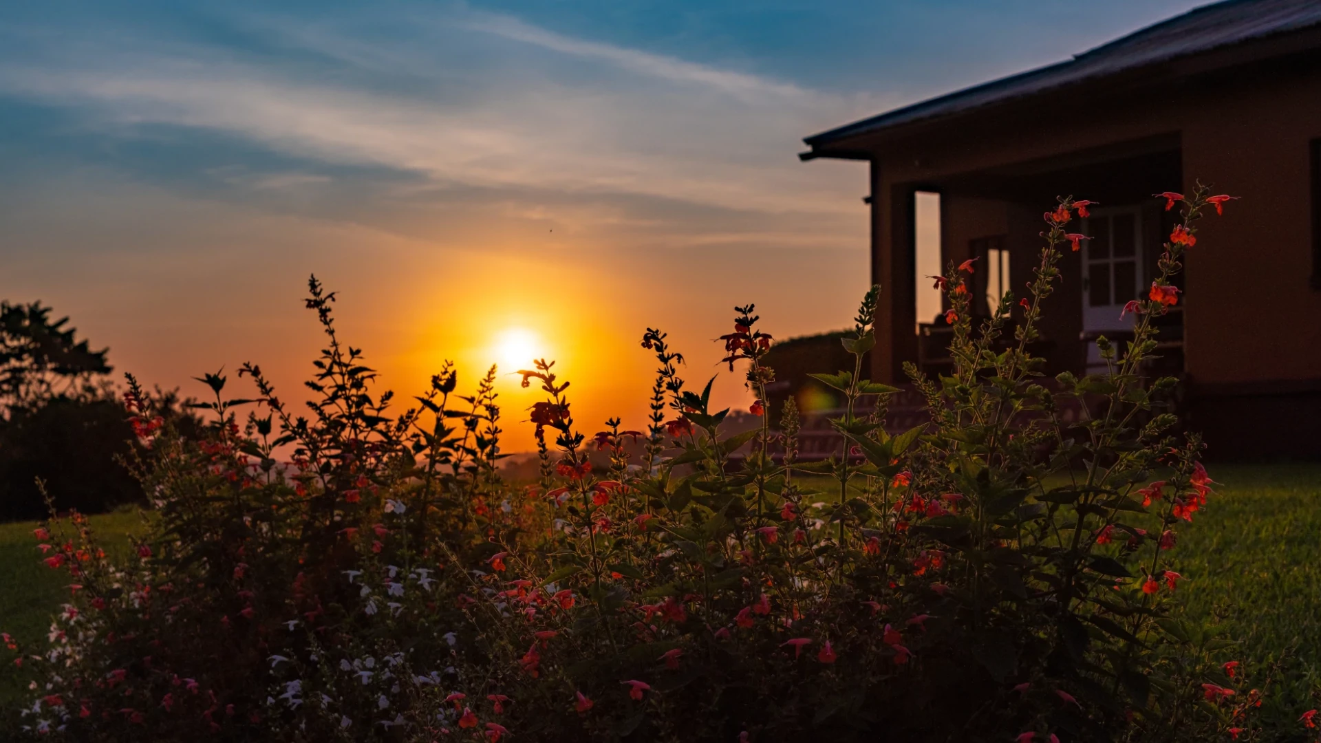 Chimpanzee Forest Lodge