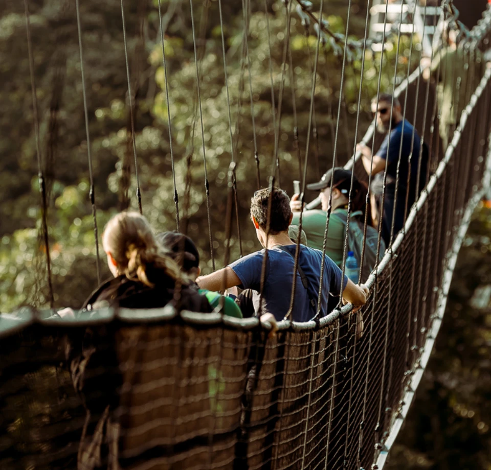 Carefully Guided Access