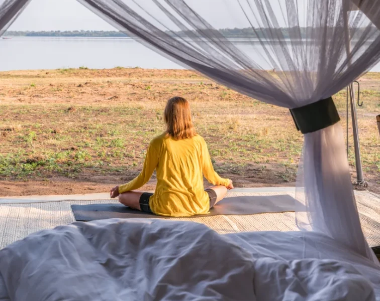 Honey Bear Bush Camp