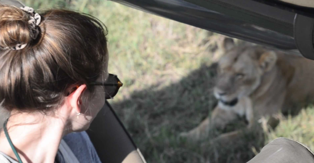 General Safety in Kenya in 2026