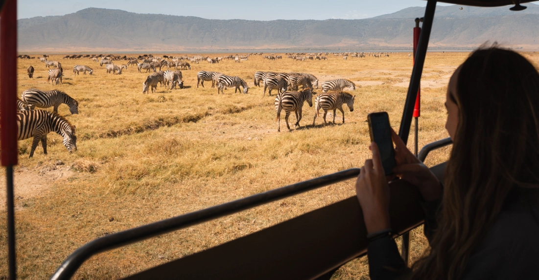 Driving safaris in Kenya