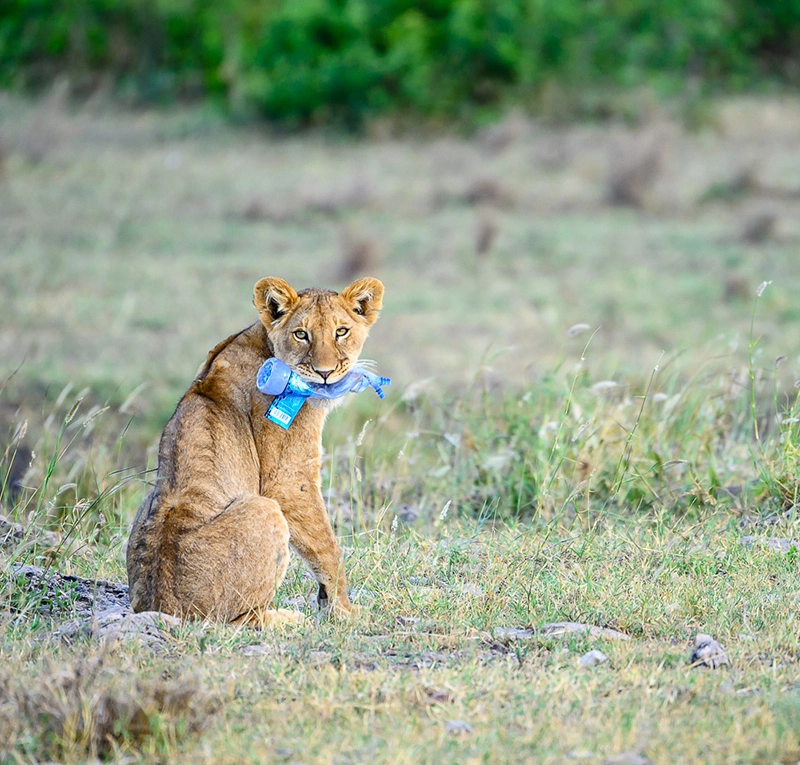 What Should we Avoid to Bring