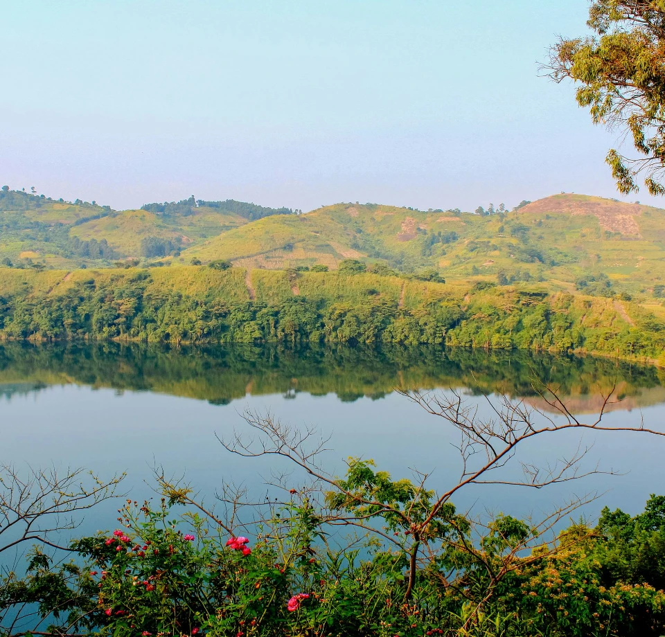 Moist Forest with Crater Lakes