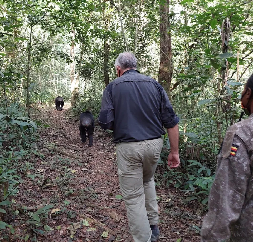 Trek, walk and watch