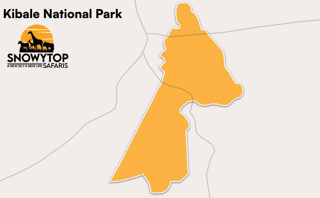 Kibale National Park