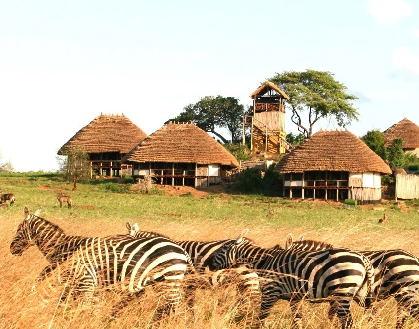 Kidepo Valley National Park Wildlife