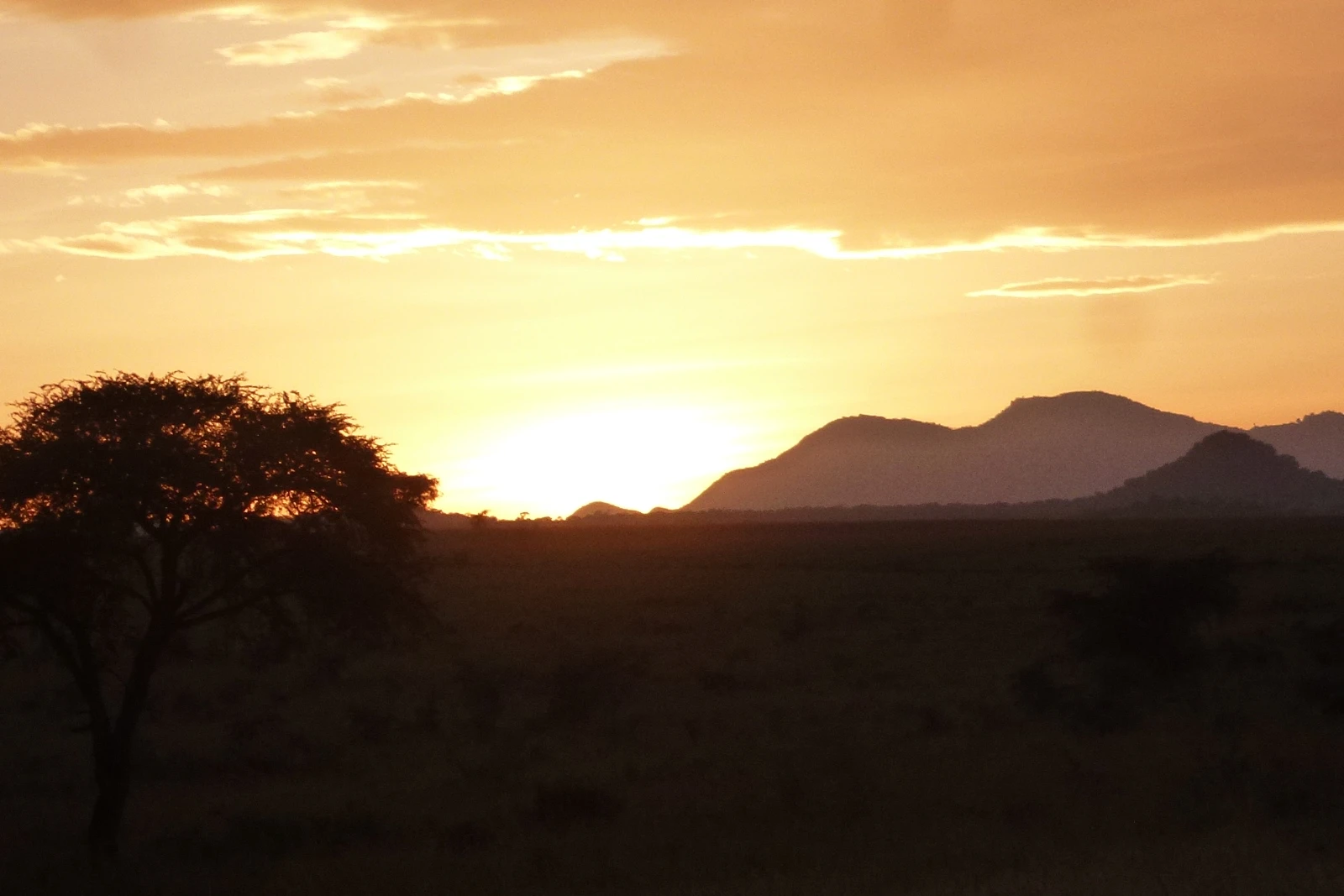Sunrise Game Drives