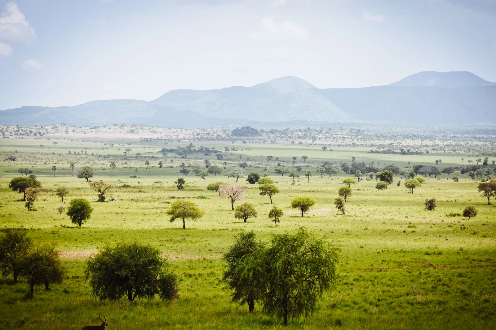 Mountain Viewpoint Stop