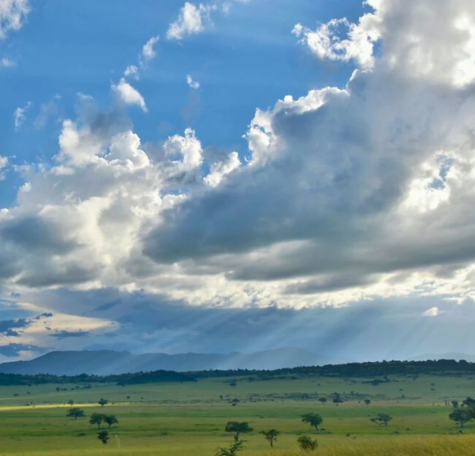 Hot Days, Cool Nights