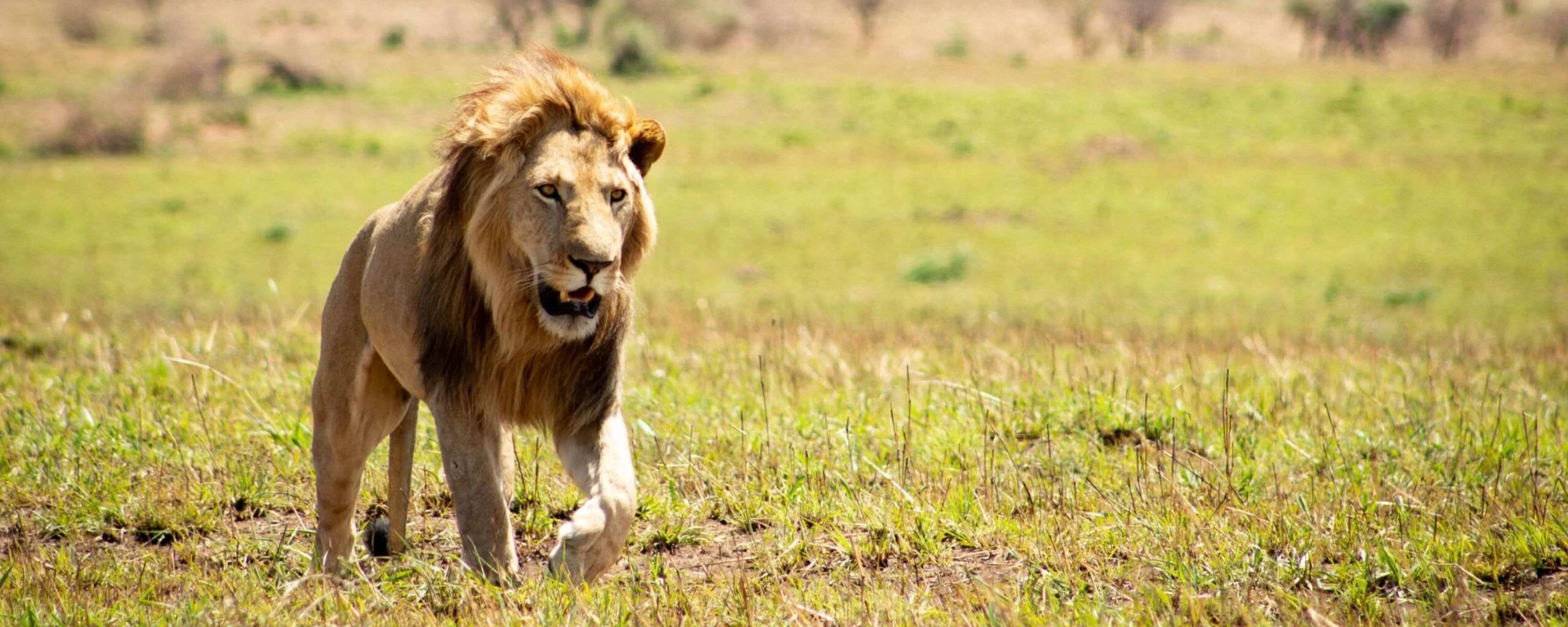Kidepo Valley National Park