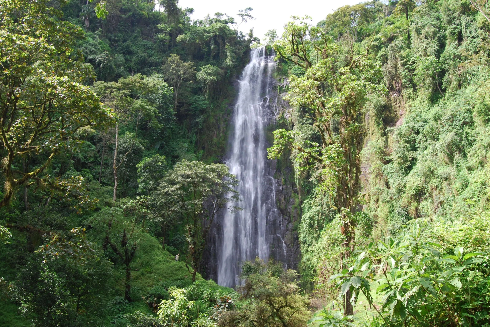 Waterfall Trail Walk