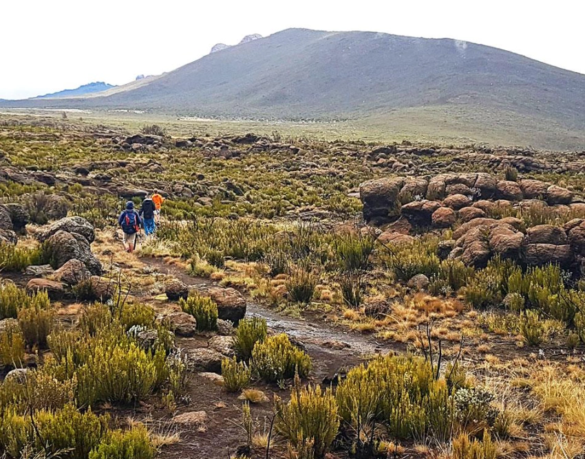 Kilimanjaro Attractions