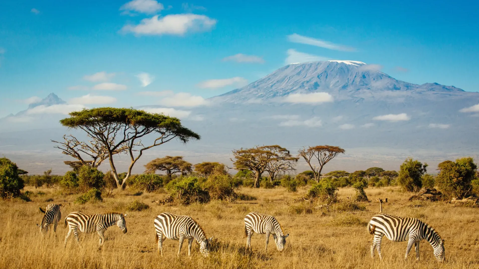 Kilimanjaro National Park