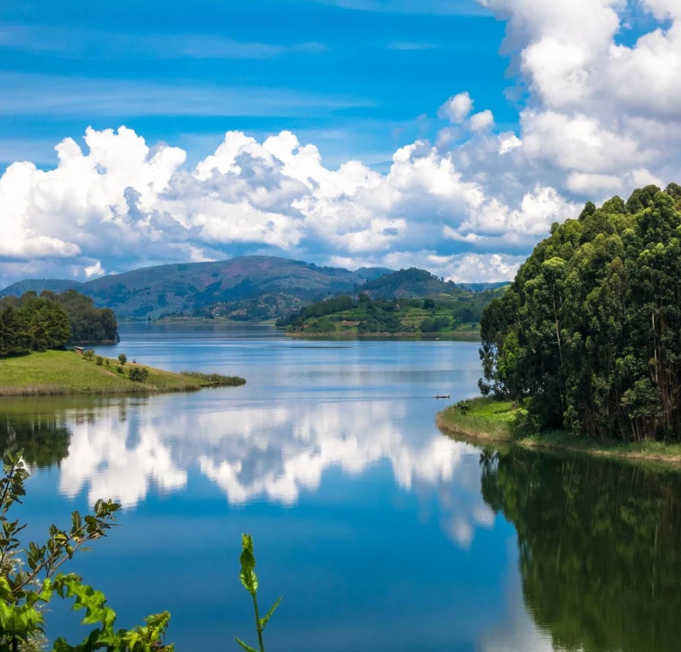 Cool Nights & Calm Days