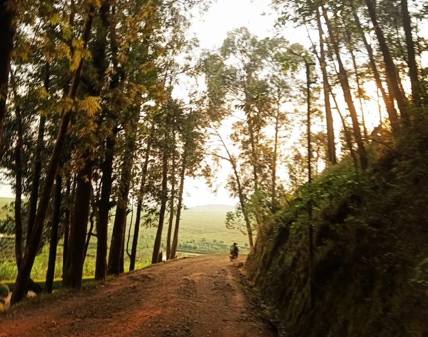 Lake Burera Roadways