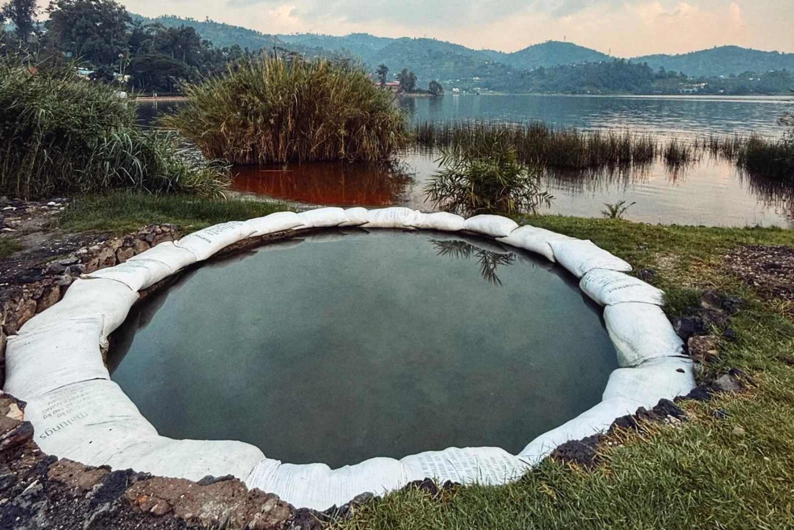 Birdwatching By Shore