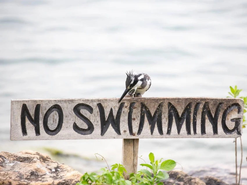 Lake Kivu Attractions