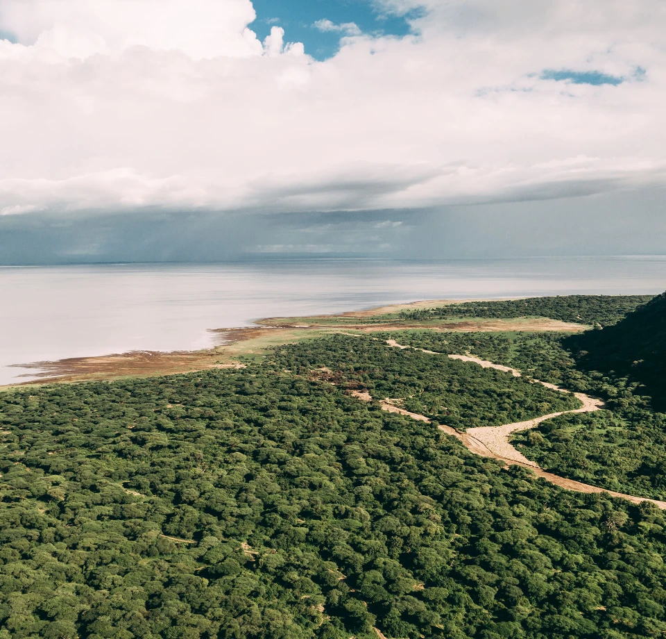 Forest, lake, and cliffs